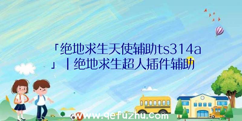 「绝地求生天使辅助ts314a」|绝地求生超人插件辅助